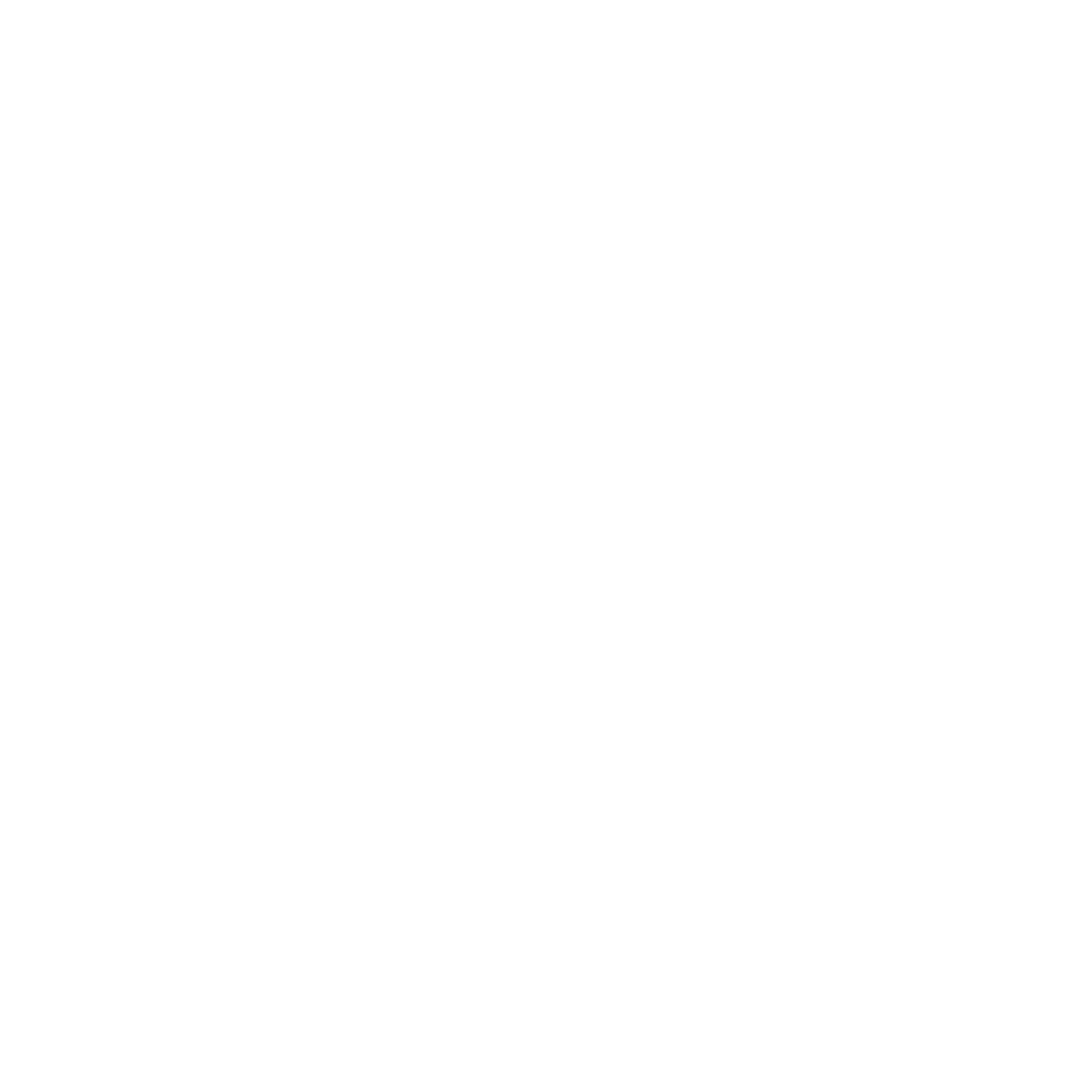 Johnny Hallyday Officiel